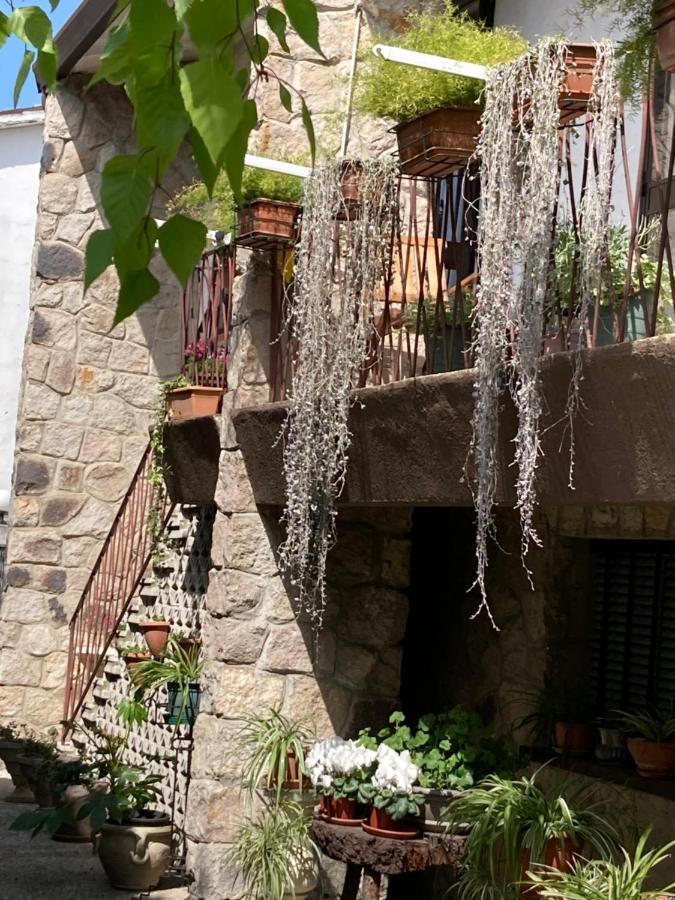 Tencarola B & B Kültér fotó